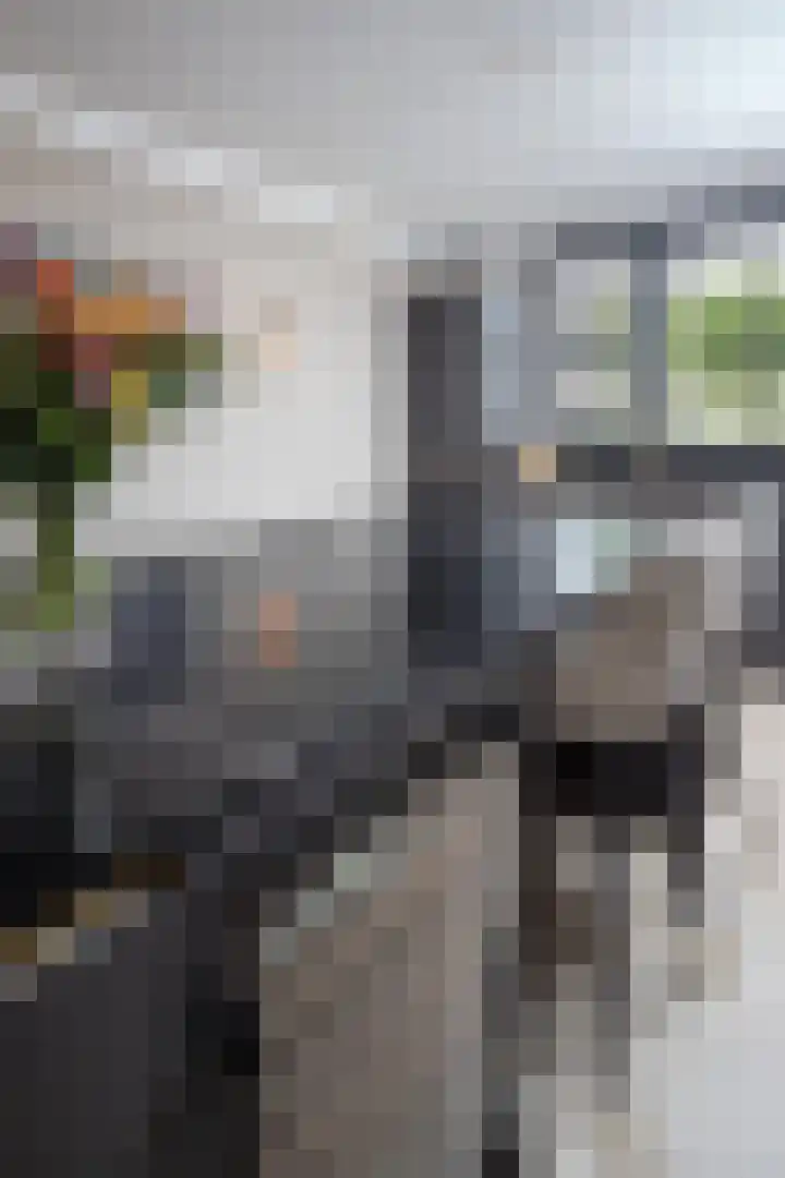 De Overhaal 17 Hem thumbnail 51