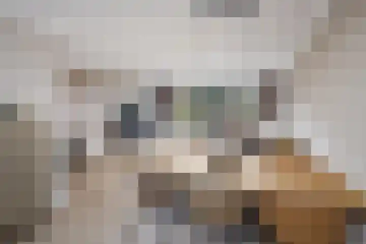 De Overhaal 17 Hem thumbnail 7