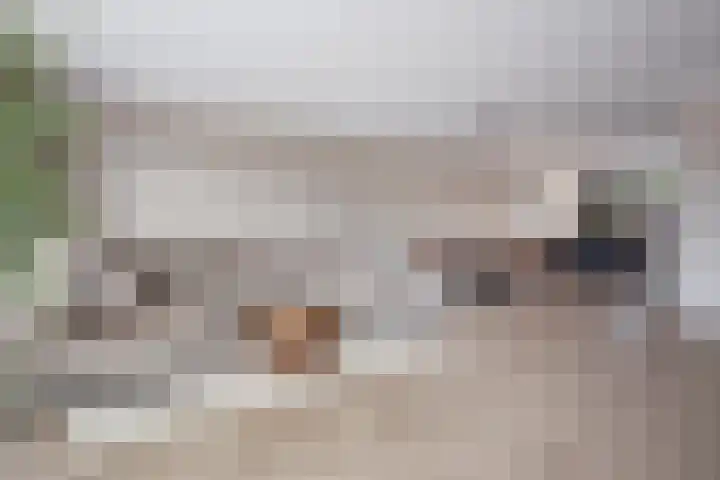 De Overhaal 17 Hem thumbnail 9