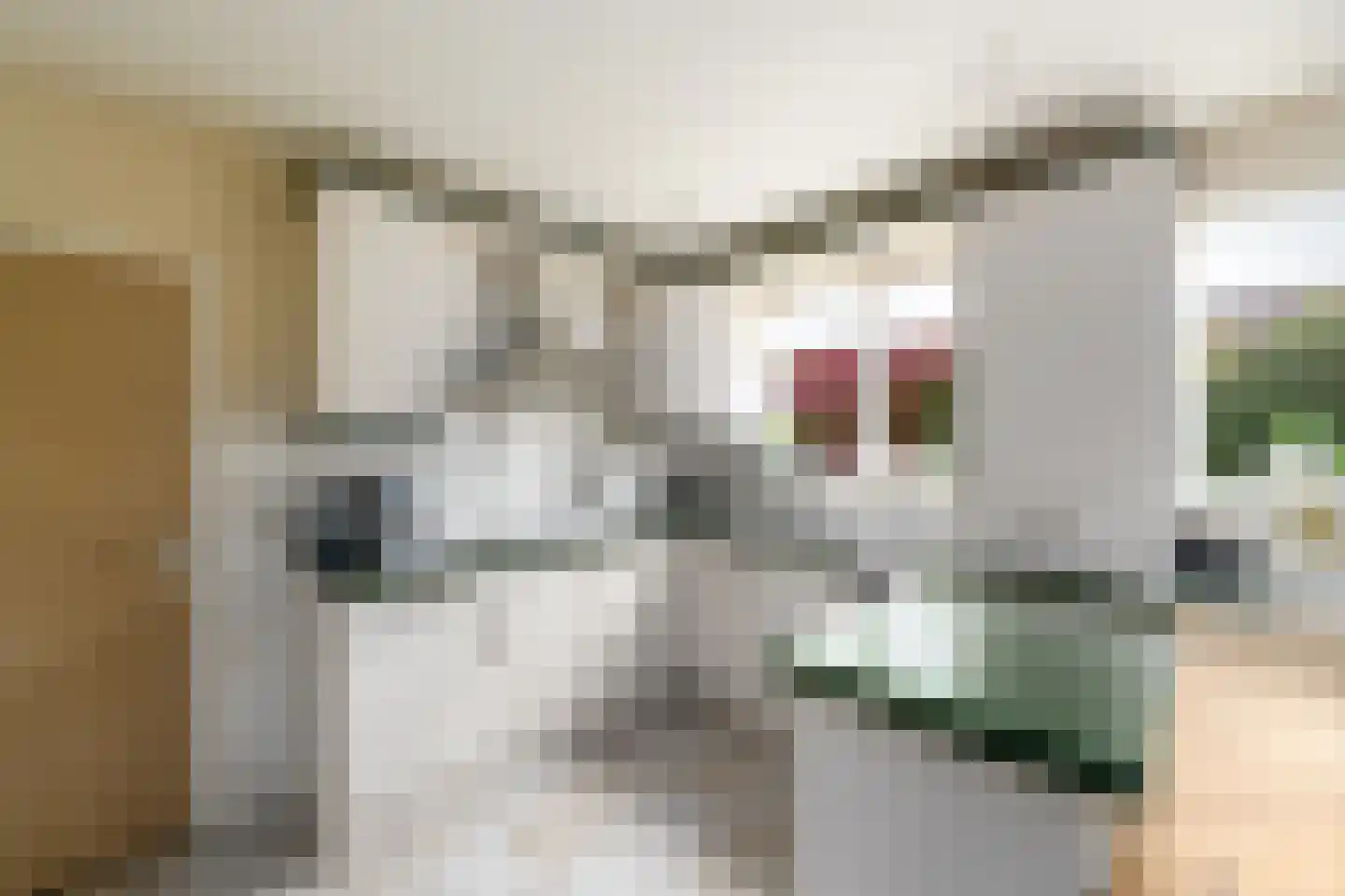 De Overspitting 26 Joure thumbnail 10