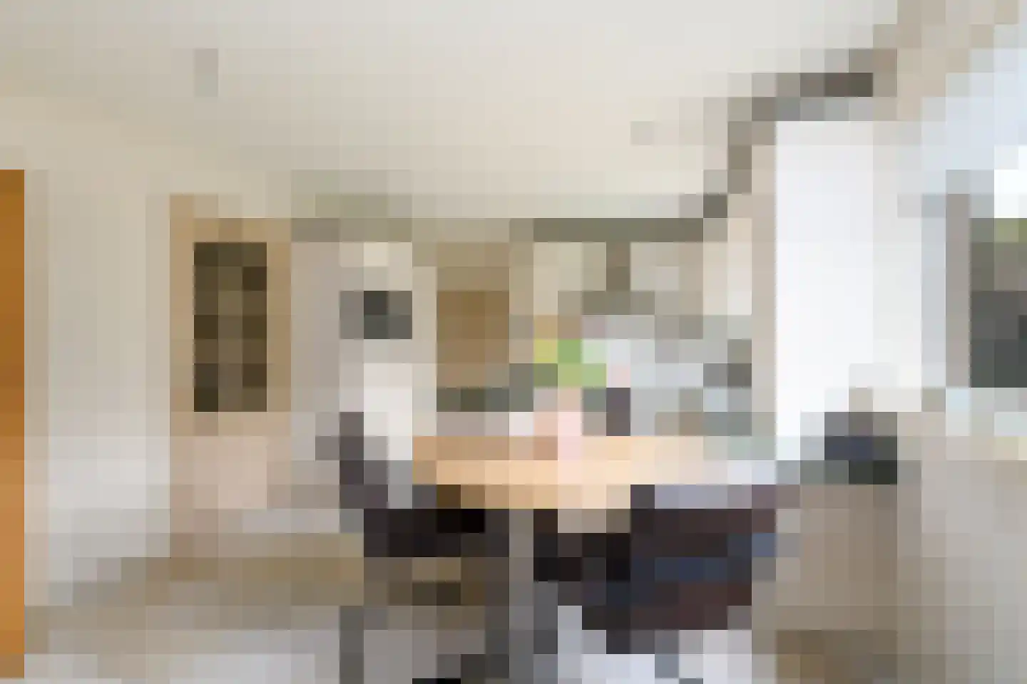 De Overspitting 26 Joure thumbnail 11
