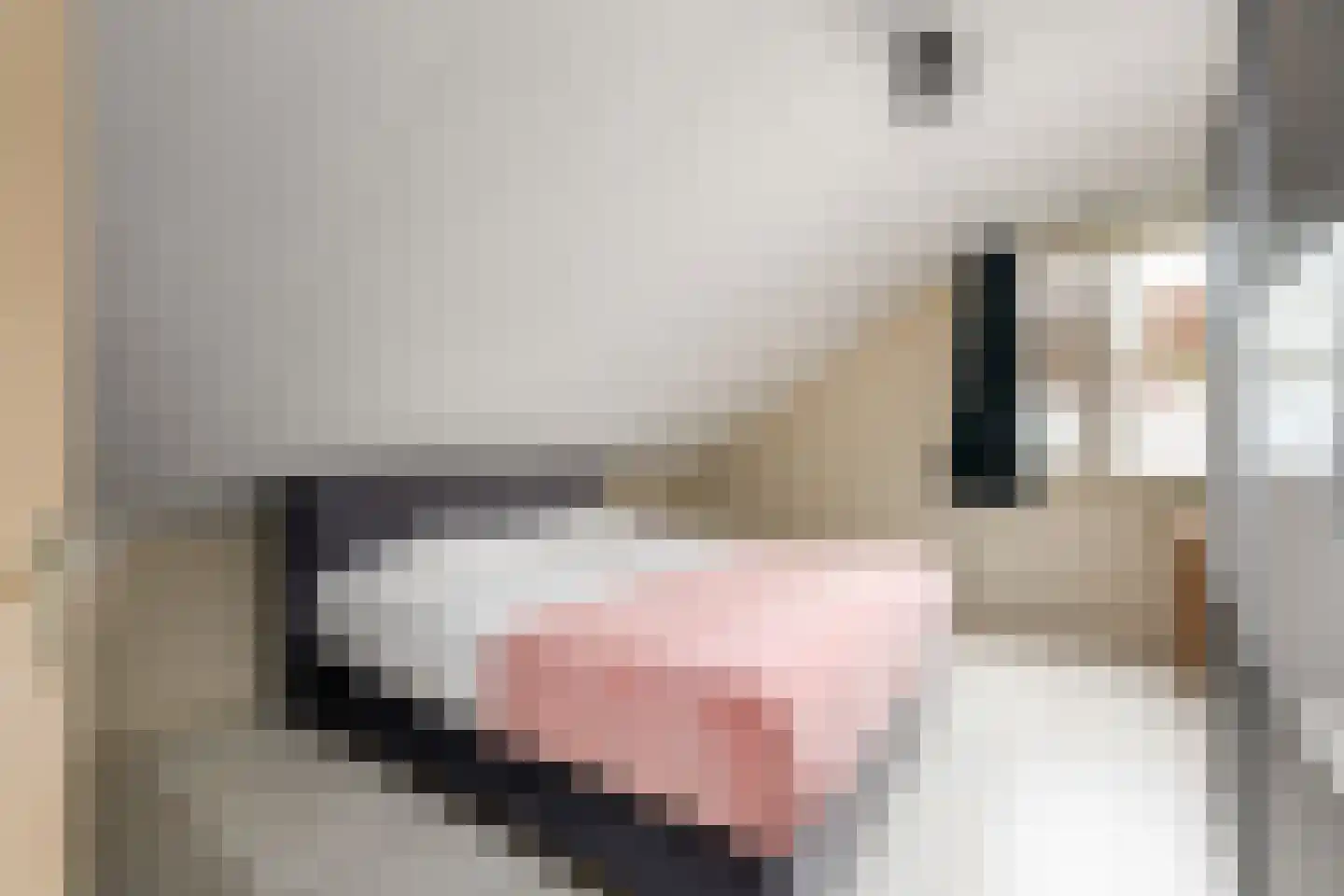 De Overspitting 26 Joure thumbnail 13