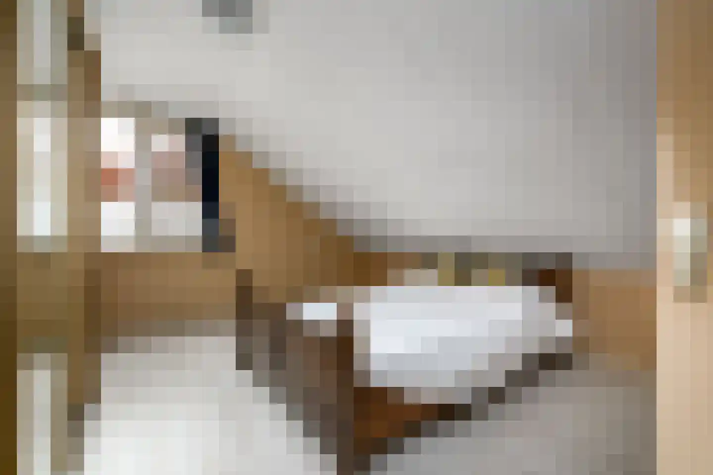 De Overspitting 26 Joure thumbnail 15