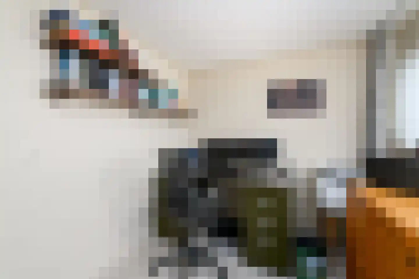 De Overspitting 26 Joure thumbnail 16