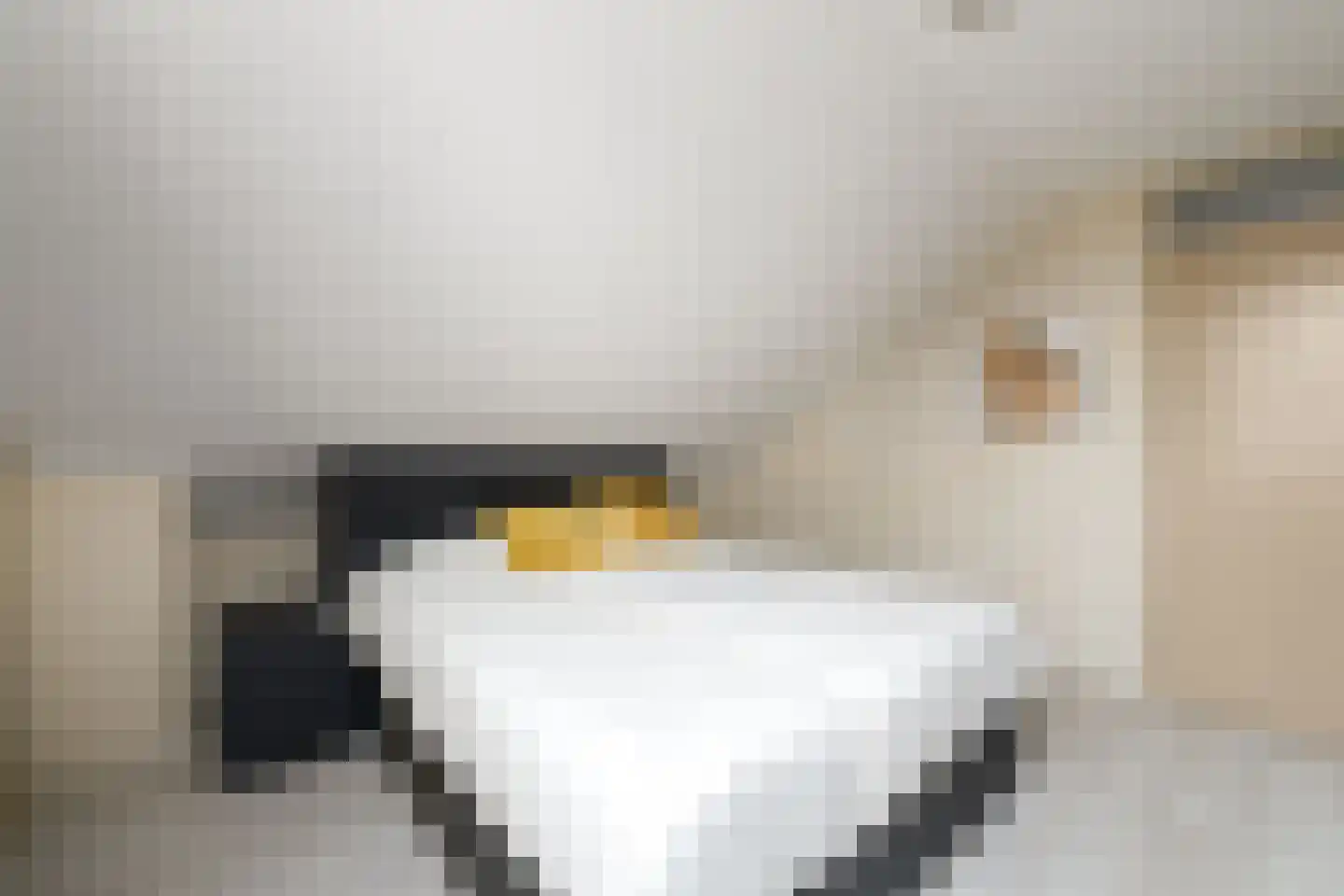 De Overspitting 26 Joure thumbnail 21