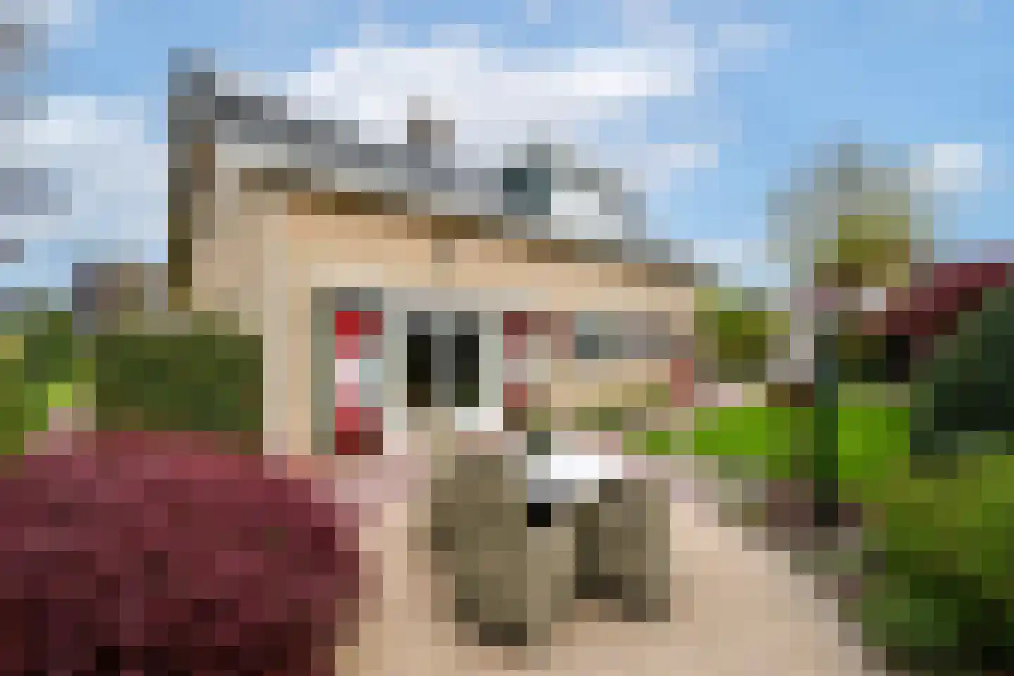 De Overspitting 26 Joure thumbnail 25
