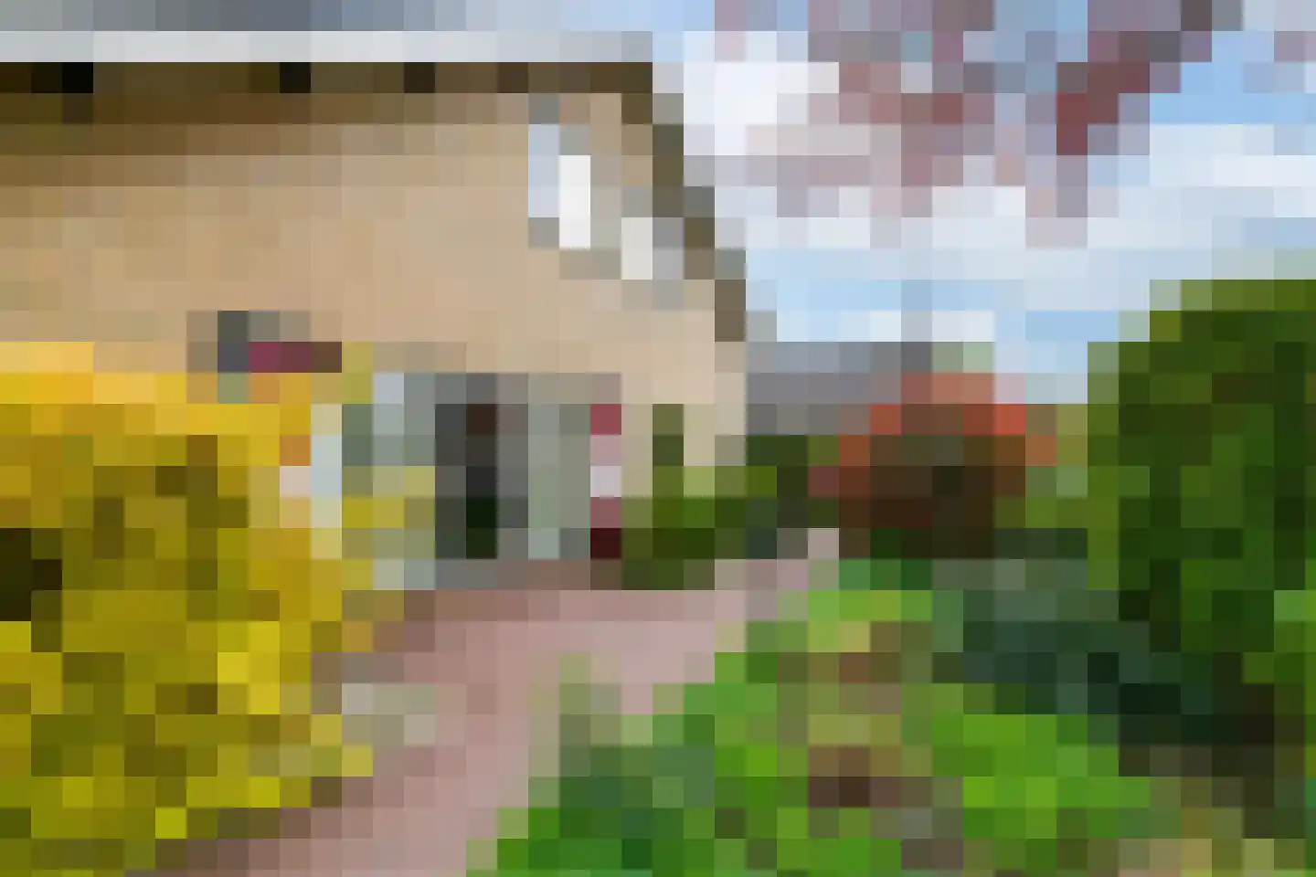 De Overspitting 26 Joure thumbnail 30