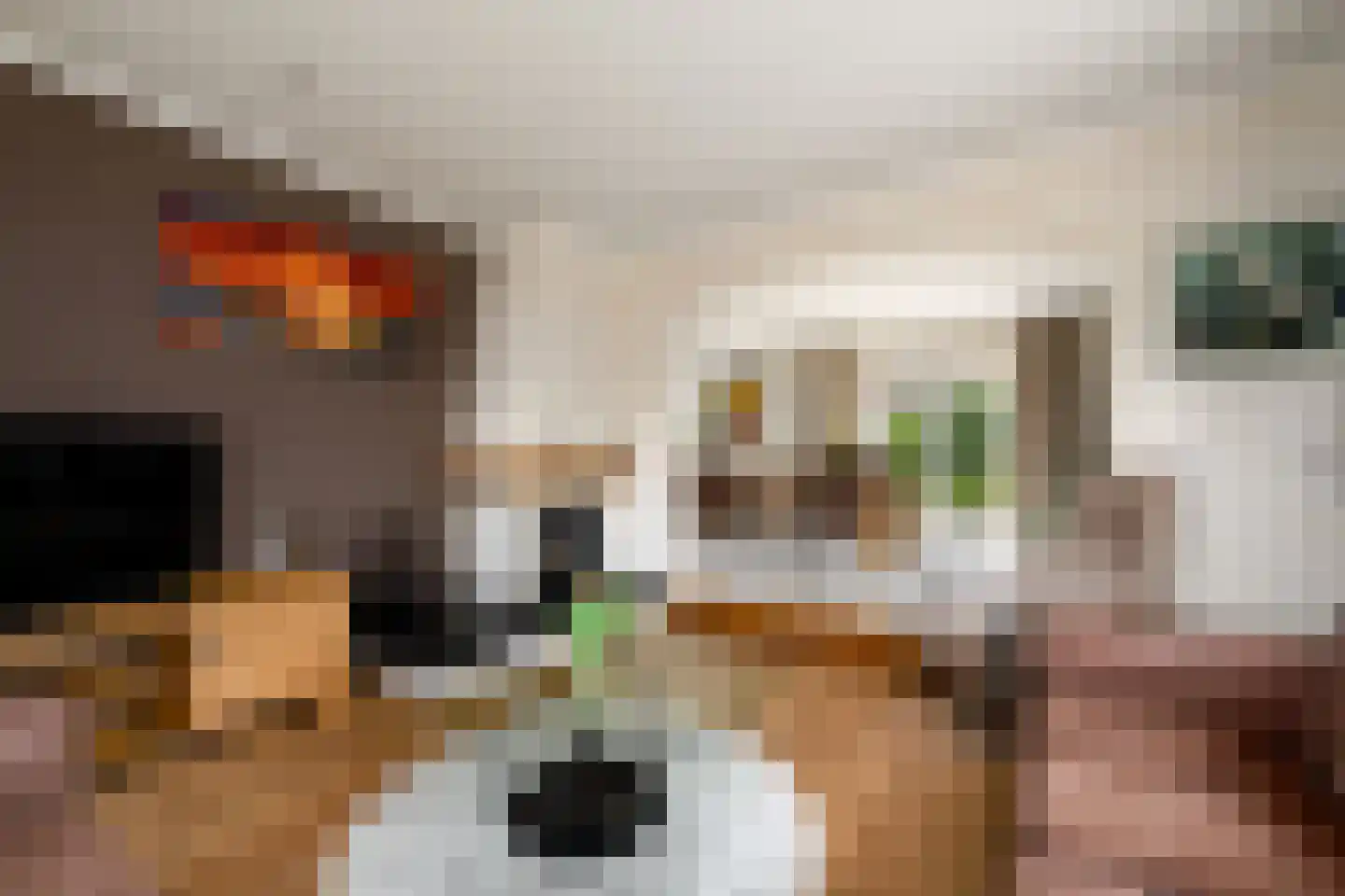 De Overspitting 26 Joure thumbnail 6