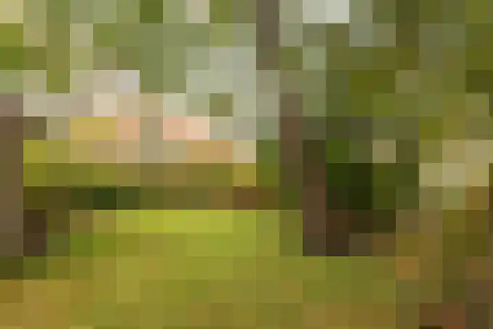 De Overspitting 43 Joure thumbnail 10