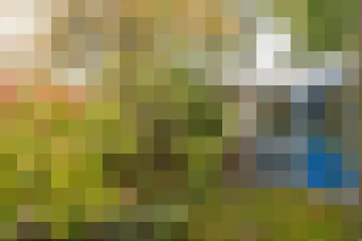 De Overspitting 43 Joure thumbnail 12