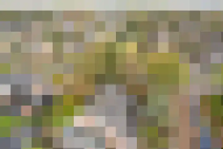 De Overspitting 43 Joure thumbnail 14
