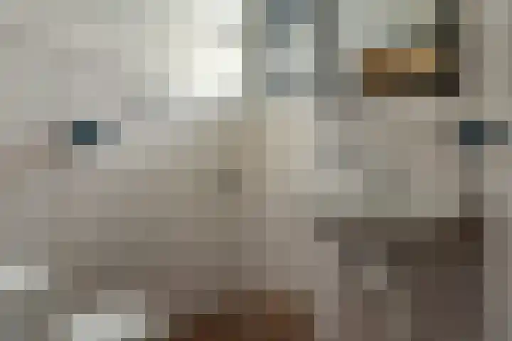 De Overspitting 43 Joure thumbnail 29