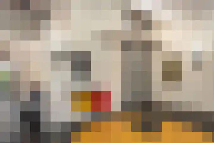De Overspitting 43 Joure foto 3