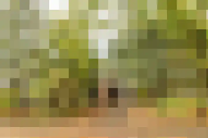 De Overspitting 43 Joure thumbnail 6