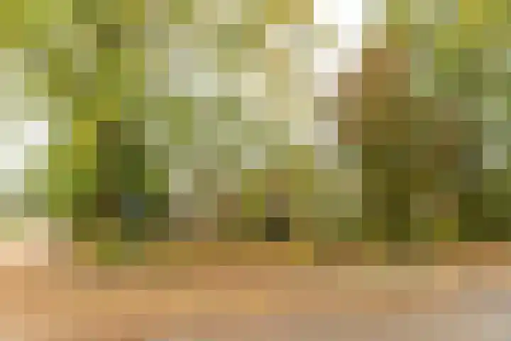 De Overspitting 43 Joure thumbnail 7