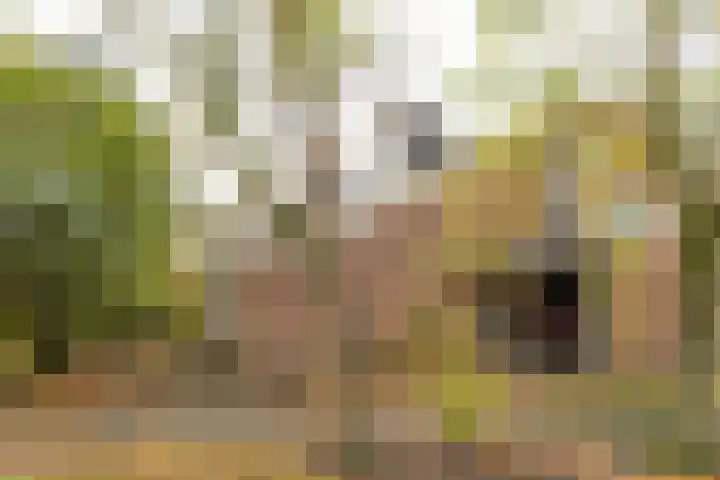 De Overspitting 43 Joure thumbnail 8