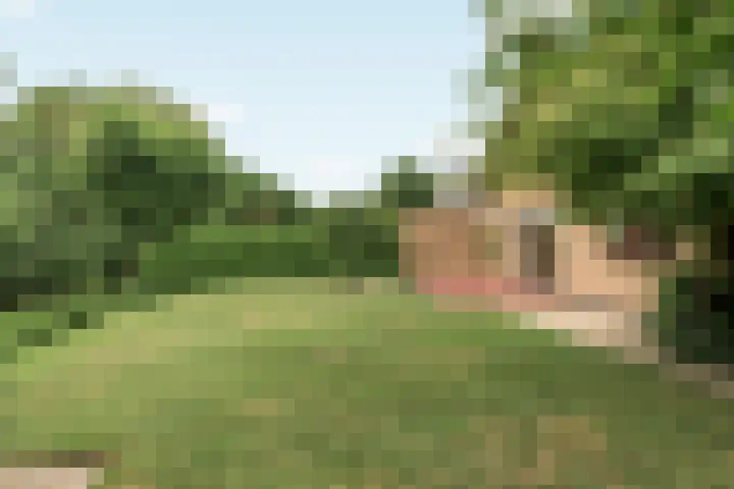 De Overspitting 48 Joure thumbnail 11