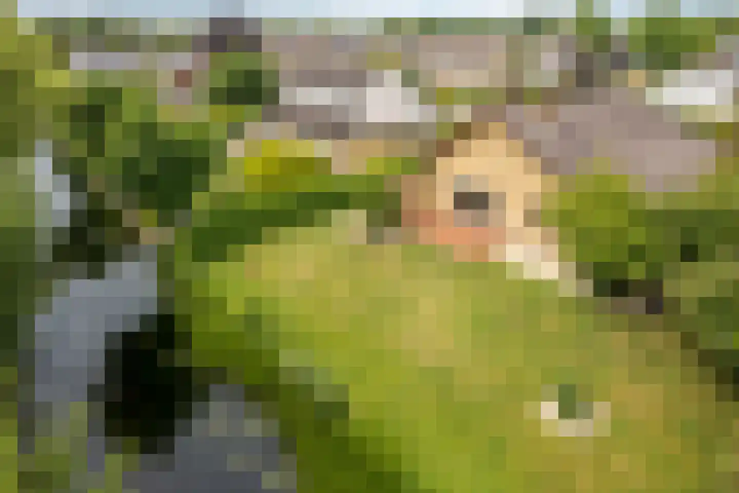 De Overspitting 48 Joure thumbnail 12