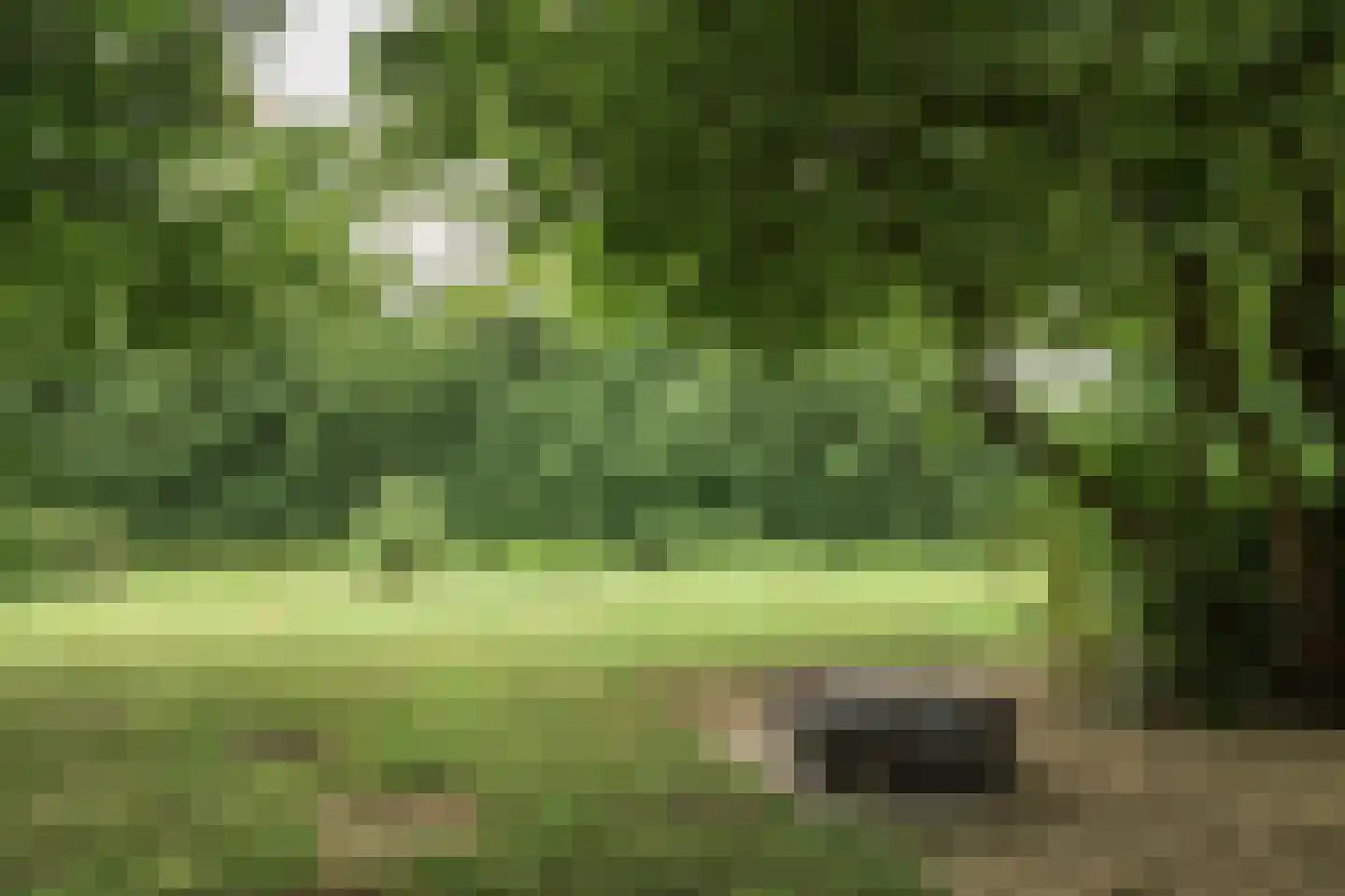 De Overspitting 48 Joure thumbnail 14