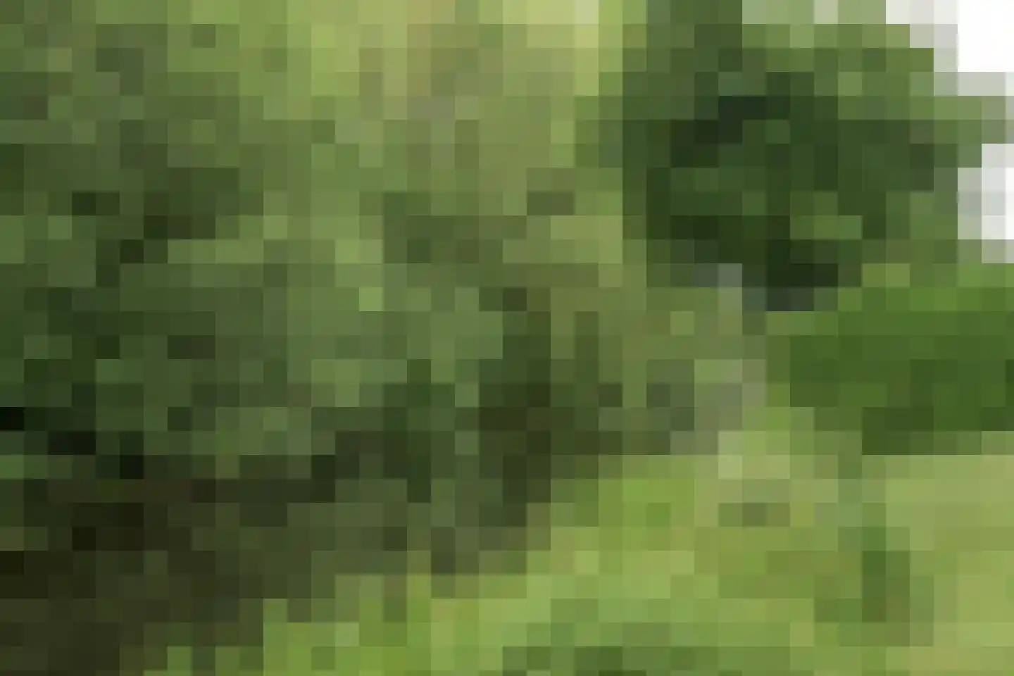De Overspitting 48 Joure thumbnail 15