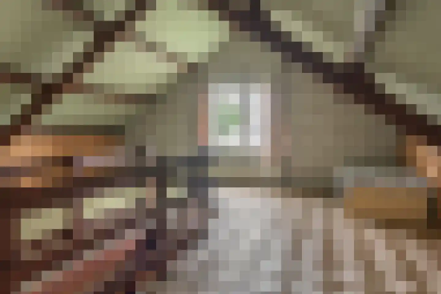 De Overspitting 48 Joure thumbnail 35