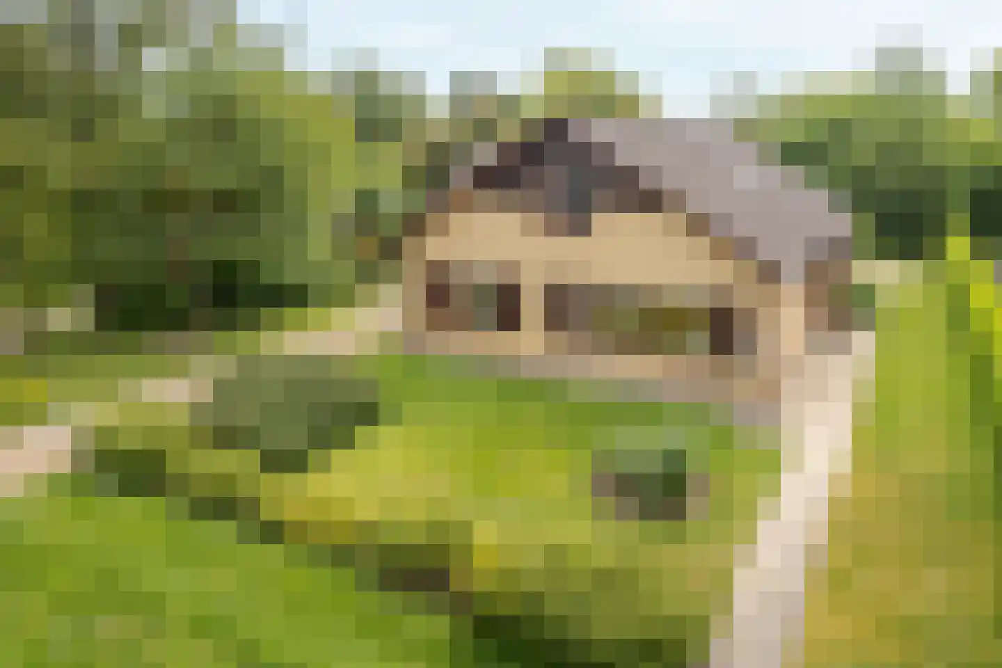 De Overspitting 48 Joure thumbnail 6