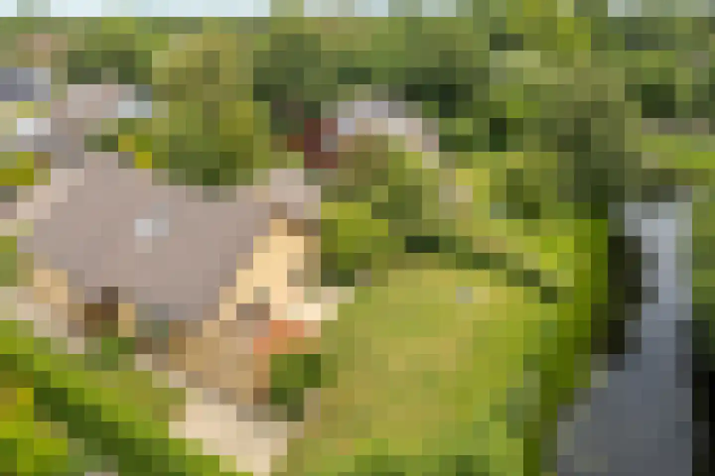 De Overspitting 48 Joure thumbnail 7