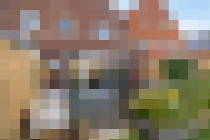 De Overtoom 36 Meerstad thumbnail 19