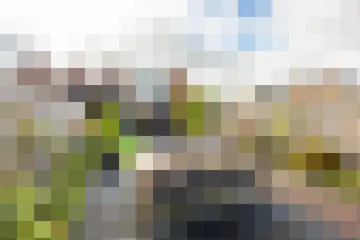 De Overtoom 5 Meerstad thumbnail 19