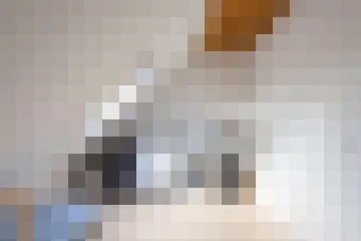 De Overtoom 5 Meerstad thumbnail 41