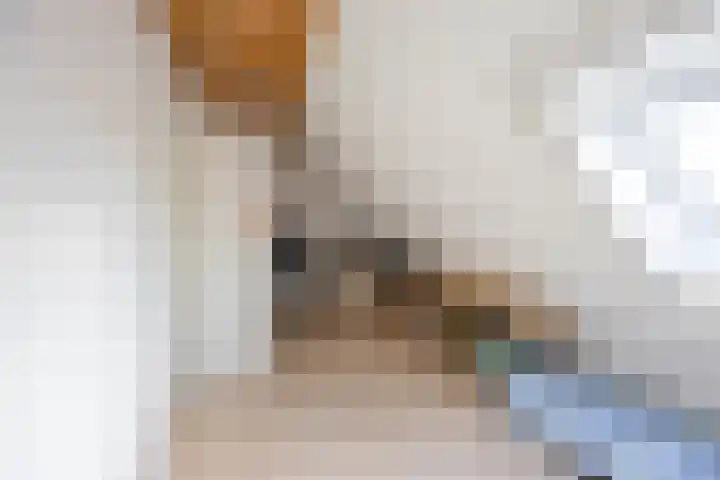 De Overtoom 5 Meerstad thumbnail 42