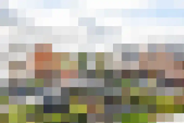 De Overtoom 5 Meerstad thumbnail 46