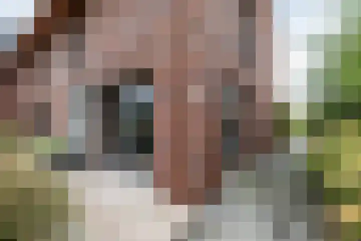 De Overtoom 88 Meerstad thumbnail 15