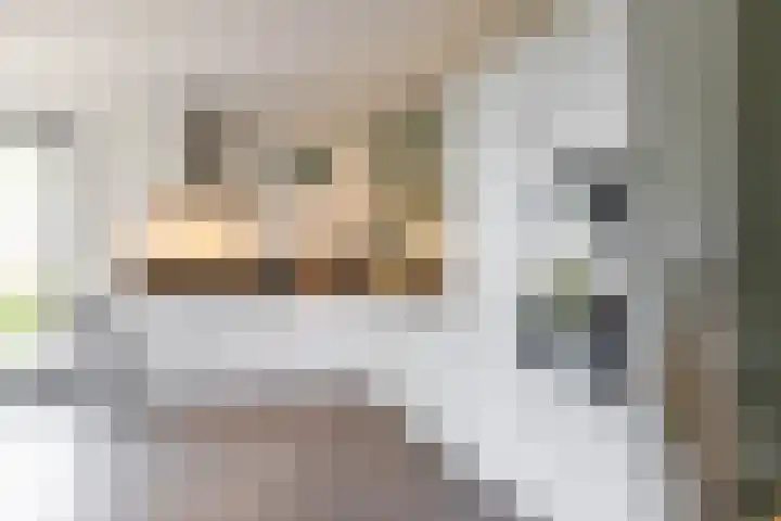 De Overtoom 88 Meerstad thumbnail 24