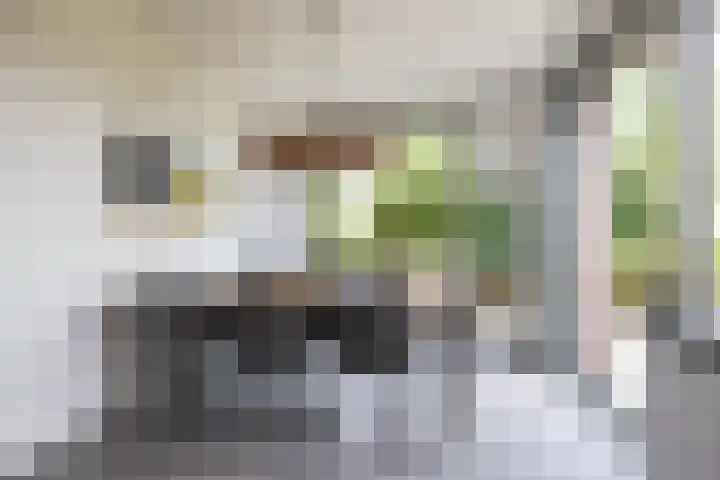 De Overtoom 88 Meerstad thumbnail 27