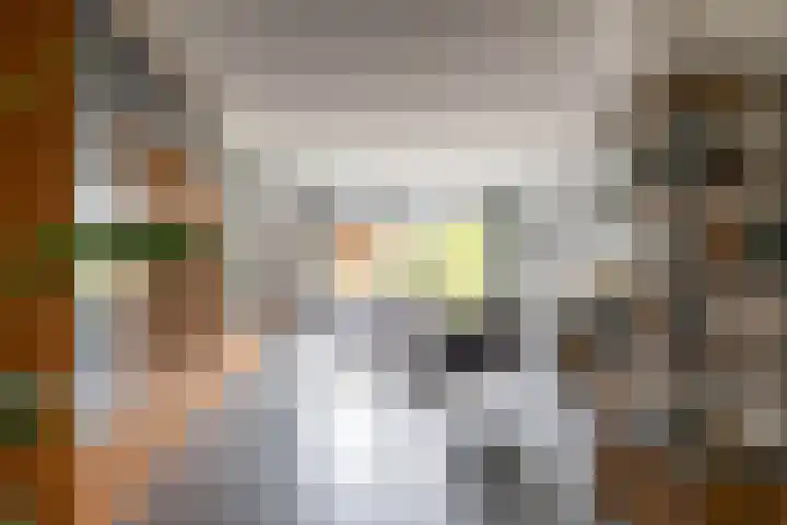 De Overtoom 88 Meerstad thumbnail 34