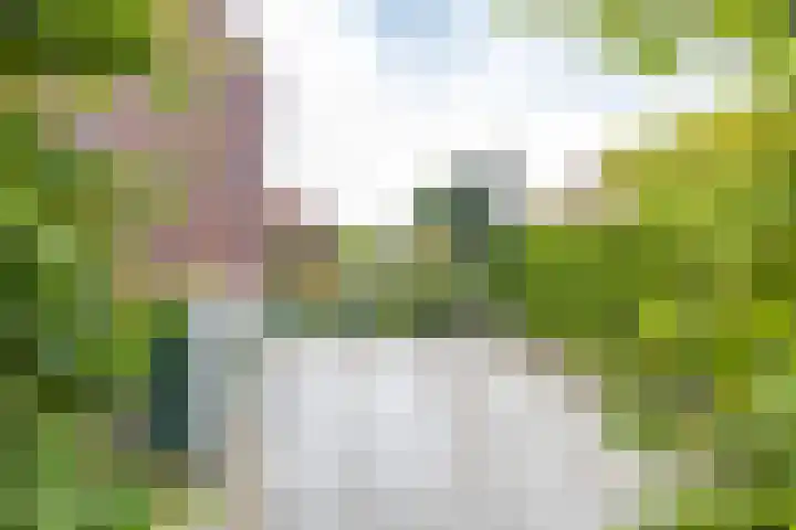 De Overtoom 88 Meerstad thumbnail 45