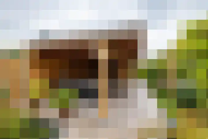 De Overtoom 88 Meerstad thumbnail 48