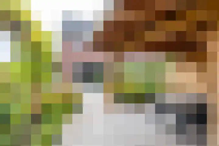 De Overtoom 88 Meerstad thumbnail 54