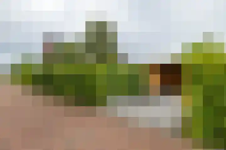 De Overtoom 88 Meerstad thumbnail 56