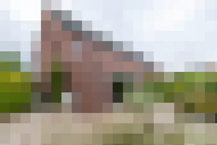 De Overtoom 88 Meerstad thumbnail 59