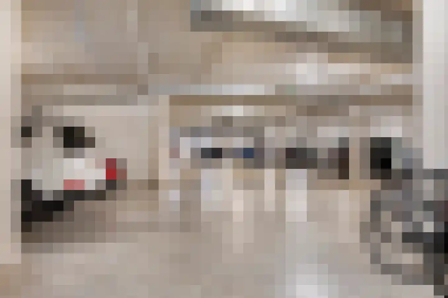De Overtuin 11 Velp thumbnail 34