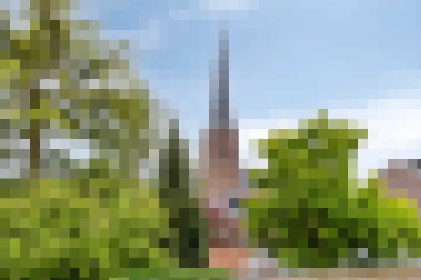 De Overtuin 11 Velp thumbnail 37