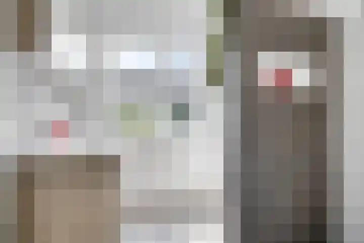 De Paander 19 Denekamp thumbnail 17