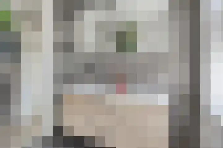 De Paander 19 Denekamp thumbnail 18
