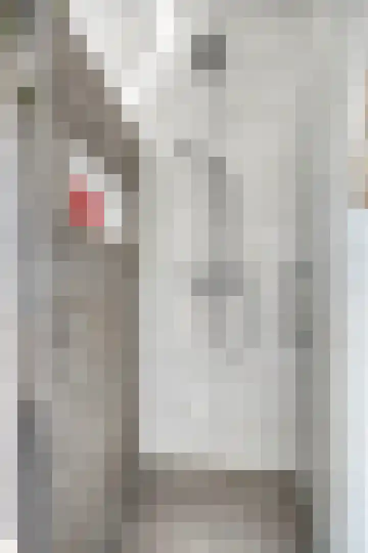 De Paander 19 Denekamp thumbnail 20