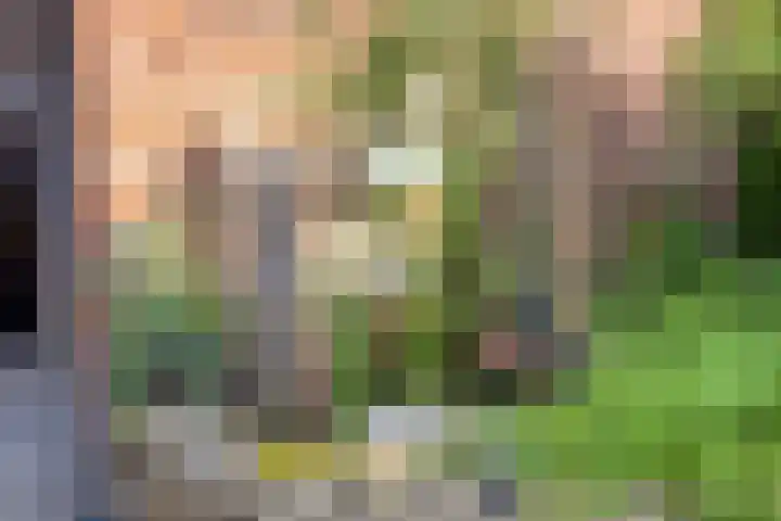 De Paander 19 Denekamp thumbnail 27