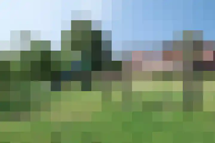 De Paander 19 Denekamp thumbnail 31