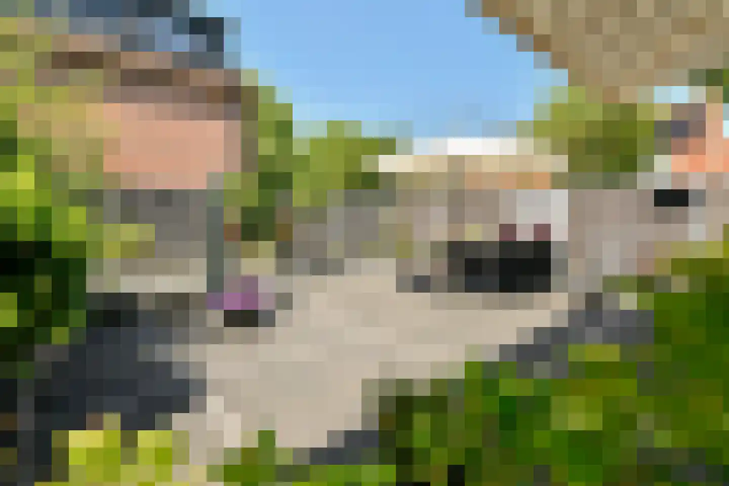 De Paarl 2 Ouderkerk aan de Amstel thumbnail 10