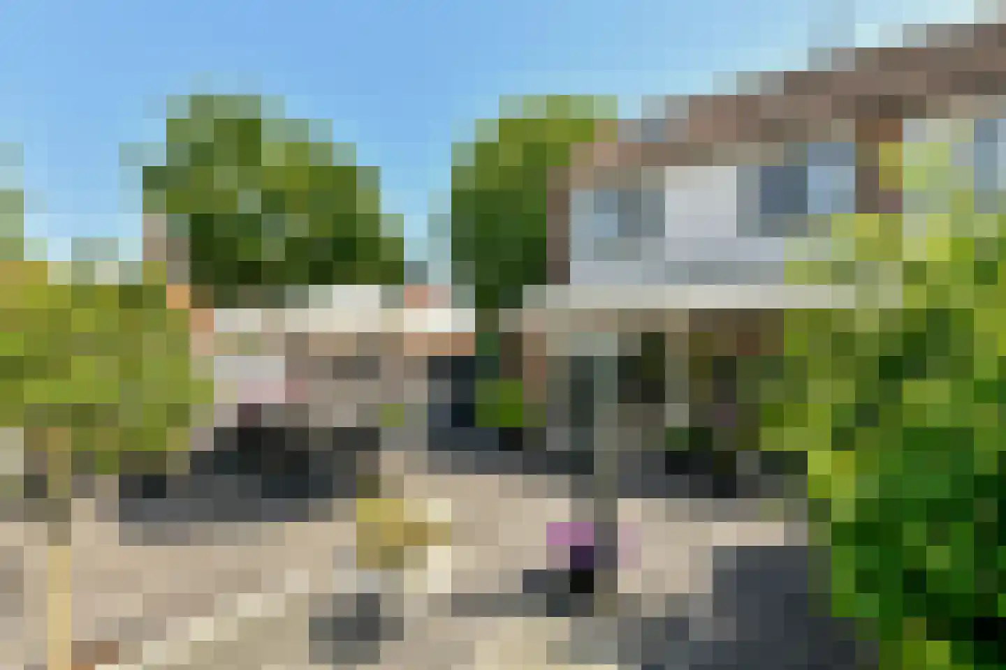 De Paarl 2 Ouderkerk aan de Amstel thumbnail 12